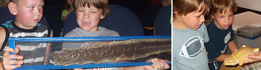 DINOSAUR CAMP AT GREY ROOTS MUSEUM
